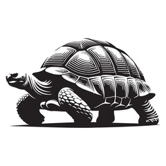 Giant Galápagos Tortoise silhouette, crafted by isolation and age – Galápagos Tortoise illustration – Galápagos Tortoise vector – Reptile silhouette

