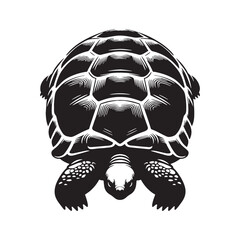 Majestic Galápagos Tortoise silhouette, the giant wanderer of the islands – Galápagos Tortoise illustration – Galápagos Tortoise vector – Reptile silhouette


