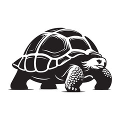 Sturdy Galápagos Tortoise silhouette, armored by time and terrain – Galápagos Tortoise illustration – Galápagos Tortoise vector – Reptile silhouette


