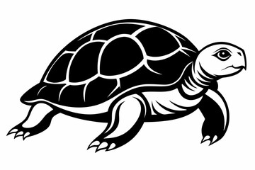 turtle silhouette line art vector illustration