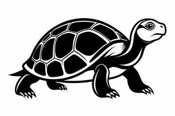 turtle silhouette line art vector illustration