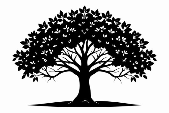recommend clip art: walnut tree silhouette line art vector illustration