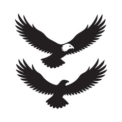 eagle vector illustration