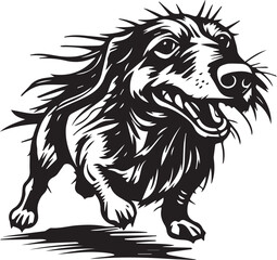 A dachshund dog. Hand drawn vector illustration