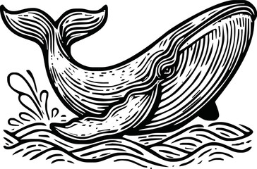 Humpback whale, line art isolated on white background. Minimal abstract whale linear sketch drawing.