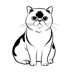 Obraz premium Outline of black exotic shorthair cat sitting with calm demeanor