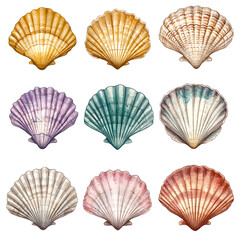 Seashells: Colorful Shell Images