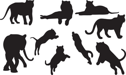 Tiger Silhouettes in Dynamic and Resting Poses for Artistic and Design Projects