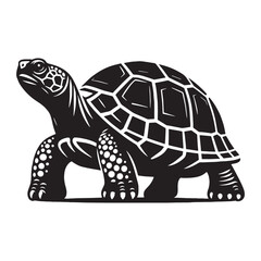 Watchful Box Turtle silhouette, peeking from its shell – Box Turtle illustration – Minimalist Box Turtle vector – Reptile silhouette

