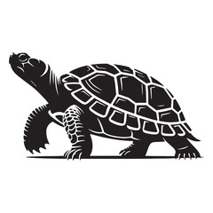 Slow Box Turtle silhouette, embodying patience and grace – Box Turtle illustration – Minimalist Box Turtle vector – Reptile silhouette

