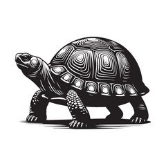 Bold Box Turtle silhouette, stepping out with cautious curiosity – Box Turtle illustration – Minimalist Box Turtle vector – Reptile silhouette

