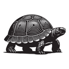 Gentle Box Turtle silhouette, moving through nature’s quiet paths – Box Turtle illustration – Minimalist Box Turtle vector – Reptile silhouette

