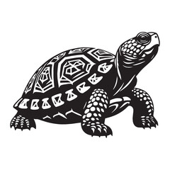 Fototapeta premium Defensive Box Turtle silhouette, safely tucked in its shell – Box Turtle illustration – Minimalist Box Turtle vector – Reptile silhouette
