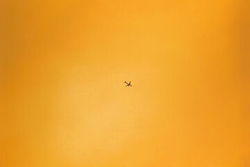 Airplane flying in the evening sky.