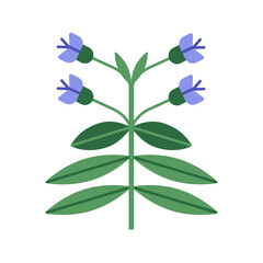 Floral branch with wildflower blooms and leaves. Gentle delicate spring flower, field plant, stem with leaf, symmetrical form. Botanical flat vector illustration isolated on white background