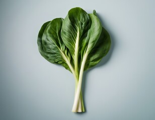 Fresh green bok choy on a soft blue background, showcasing vibrant leaves and crisp stems.