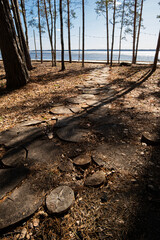 A picturesque walkway made of logs guides visitors toward a calm lake at dusk, framed by tall trees and a gentle breeze rustling the leaves.