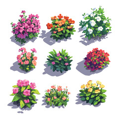 Isometric Flower Collection Illustration