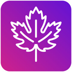 Obraz premium Maple leaf Vector Icon Design Illustration
