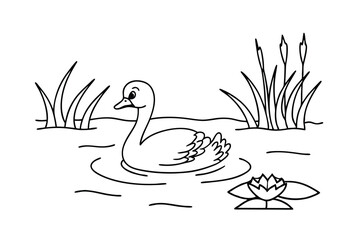 Swan Swimming Peacefully In A Pond With Cattails And Water Lily Outline
