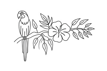 Exotic Parrot On Branch With Flower Outline Vector Illustration Design