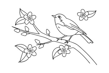 Robin Bird On Flowering Branch Line Art Illustration For Coloring Pages