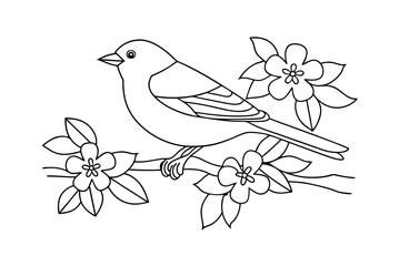 Bird On Branch Coloring Page Illustration Spring Flowers Graphic Vector