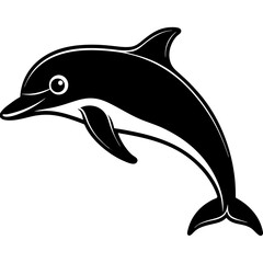 dolphin vector illustration
