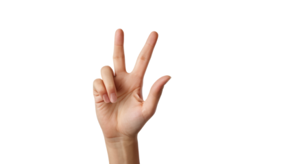 Woman Hand Indicating on Transparent Background