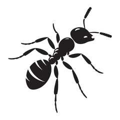 Loyal Ant silhouette, working together with its colony – Ant illustration – Ant vector – Insect silhouette

