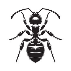 Industrious Ant silhouette, a model of efficiency – Ant illustration – Ant vector – Insect silhouette

