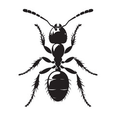 Agile Ant silhouette, swiftly navigating its surroundings – Ant illustration – Ant vector – Insect silhouette

