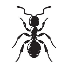 Adaptable Ant silhouette, thriving in various environments – Ant illustration – Ant vector – Insect silhouette

