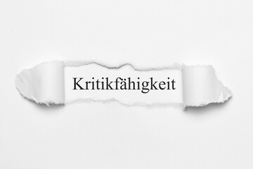 Kritikfähigkeit	
