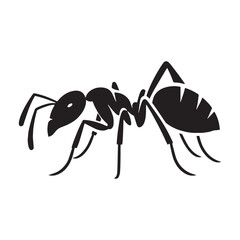 Cooperative Ant silhouette, working in unity with others – Ant illustration – Ant vector – Insect silhouette

