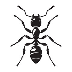 Ant silhouette in motion, a symbol of industry and teamwork – Ant illustration – Ant vector – Insect silhouette

