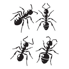 Steadfast Ant silhouette, working tirelessly for the colony – Ant illustration – Ant vector – Insect silhouette

