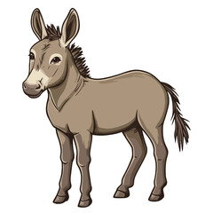 Obraz premium donkey, animal, vector, transparent background