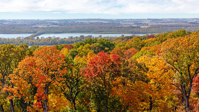 Scenic overlook view of colorful Autumn foliage and the Mississippi River from Pere Marquette State Park in Grafton, Illinois 