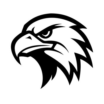 Wild eagle head vector illustration, a tribal bird symbol design