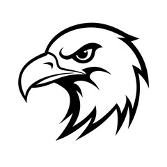 Wild bald eagle head vector illustration
