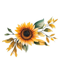 Fototapeta premium Sunflower watercolor PNG with green leaves. Transparent background illustration for rustic wedding designs, invitations, and summer events