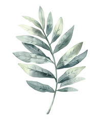 Tropical green foliage PNG watercolor clipart. Transparent background botanical illustration suitable for summer themes and nature-inspired designs