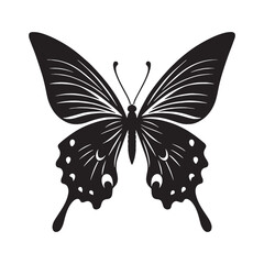Beautiful Butterfly silhouette, with delicate wings – Butterfly illustration – Butterfly vector – Insect silhouette

