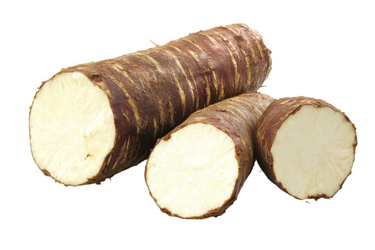 Arracacha root vegetable close up on white background 