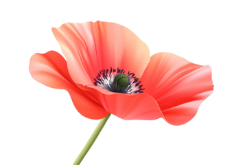 Elegant flower with soft petals, centered on a stark transparent background for emphasis and clarity