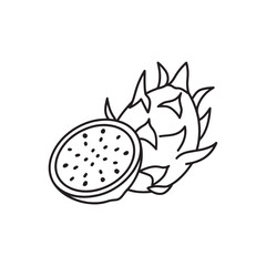 Dragon Fruit line art flat vector illustration