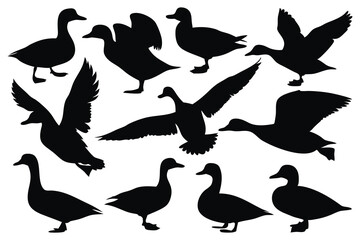  Flying and floating duck silhouettes set isolated flat vector illustration on white background