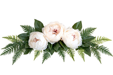 Three delicate white peonies nestled amongst lush green ferns, isolated against a clean, transparent background