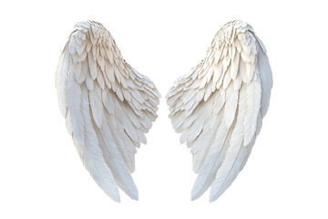 Angelic spread with two symmetrical, ethereal white feather wings on transparent background. Fluffy and soft texture, bright, and gentle